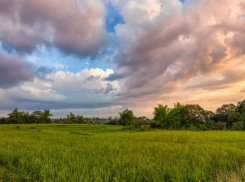 Погода в Таганроге в выходные будет теплой, но пасмурной