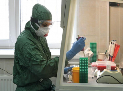 Статистика держится: в Таганроге коронавирусом заболели еще 5 человек
