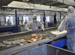 Строительство Неклиновского МЭОК под Таганрогом идёт по плану