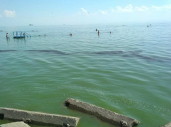 Огромное пятно из мазута «порадовало» отдыхающих так, что они бежали с пляжа  в Таганроге