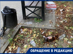 В помойку превращается территория у Мариинской гимназии