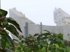 Сиреневыми кустами наполнился «Сад Победы» под Таганрогом 