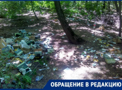 Организаторы форума «Армия 2019» под Таганрогом не позаботились о вывозе мусора