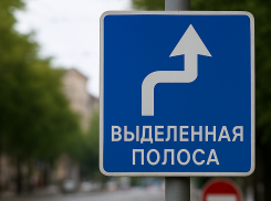 О «нелегальных» выделенных полосах в Таганроге и просьбе таксистов урегулировать ситуацию