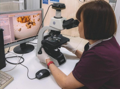 Ветеринарная клиника «ВИТА»: здоровье и счастье вашего питомца под чутким контролем