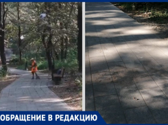 Таганрожцы озабочены тем, как проходит уборка в роще «Дубки» 