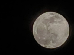 Таганрожцы увидят главное суперлуние года: когда смотреть на «Бобровую Луну»