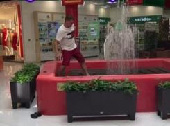 «Купание красного коня» устроил таганрожец  в фонтане ТРЦ