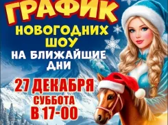 Свидание с чудом: куда пойти с ребёнком, чтобы запомнилось надолго