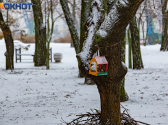 От весны к русской зиме за сутки: в Таганрог вернется мороз