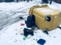 Экотранс не справляется с вывозом мусора  в Таганроге 