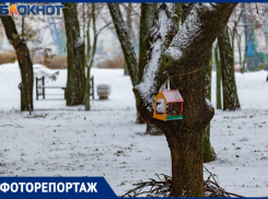 Зимние пейзажи в Таганроге