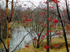Теплая с небольшим ветром погода ожидает таганрожцев в выходные