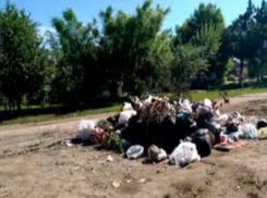 Таганрог вывел Ростовскую область в топ-10 регионов с самыми зловонными свалками