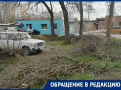 Кто здесь хозяин – таганрожцы ищут владельца бесхозной территории