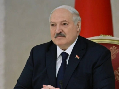 Ждать ли в Таганроге белорусские автобусы? О чём договорились губернатор Слюсарь и президент Лукашенко