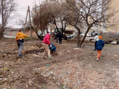А нужны ли городу субботники