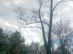 В сквере возле памятника А.П.Чехову в Таганроге опасно гулять