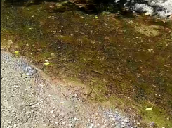 О том, как обмелел Миус рассказал житель Таганрогского округа 