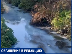 Молочная река появилась в Таганроге: экологический беспредел Малой Черепахи 