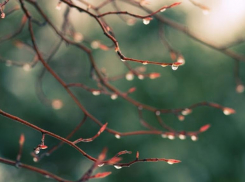 В выходные дни в Таганроге  возможен небольшой дождь