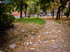 Инспекция заметила публикацию «Блокнот» и администрацию Таганрога оштрафуют?