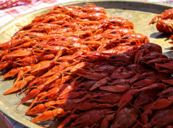 Таганрожцы могут выбрать казачий или армянский вкус Ростовской области