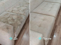 Услуга дня: химчистка мебели