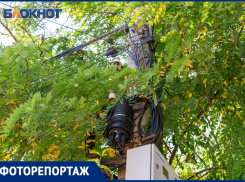 Еще одна причина, по которой в Таганроге может произойти ЧП - ветки, лежащие на проводах