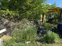 Гаражи снесли, тонны мусора остались - эту проблему решат, но какой ценой