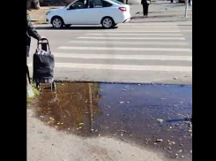 Таганрожцы не могут безопасно ходить по городу: жительница сняла на видео проблемы пешеходных зон