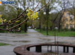 20 марта — день Павла Капельника: почему сегодня нельзя грустить, а нужно мириться и чинить сломанное