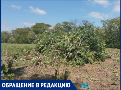 Санитарную зону аэродрома Таганрог-Южный вырубают, местные жители выступают против 