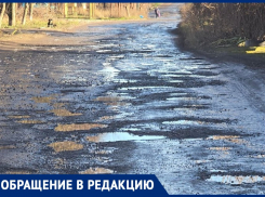 Крик о помощи председателя садового товарищества под Таганрогом тонет в воздухе