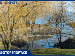 Пляж «Тополёк» в Таганроге: от расстройства до восхищения