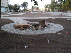 На тракторах и самокатах: таганрожцы уже осваивают недостроенный сквер в СЖМ 