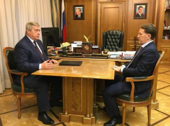 Василий Голубев попросил у вице-премьера России помощи в укреплении берегов Таганрогского залива 