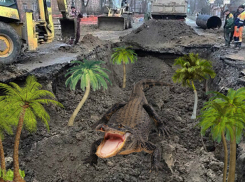  «Остров невезения» в Таганроге есть