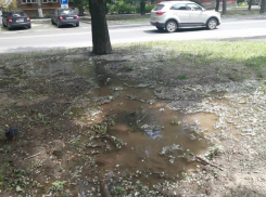 «Водоканал Таганрога находится в состоянии коллапса», сообщил депутат