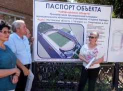 Народные избранники лично проконтролировали стадии реконструкции стадиона «Торпедо»