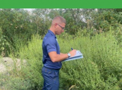  АО «Тагмет» оштрафовали за нескошенную траву