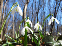  Погода в Таганроге  будет устойчивой и однообразной