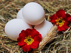 Яйца, мясо, масло, маргарин, рыба подорожали, называем таганрожцам новые цены