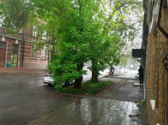 Половина месячной нормы — за два дня: в Таганроге на выходные прольются дожди с грозами