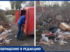 «Вот очень хочется наказать таких героев нашего города!» - отмечает таганрожец 