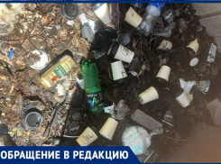 Куча стаканчиков «Булочной компании» сброшены у реки Большая Черепаха