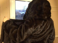 Пришедшие в регион морозы толкнули жительницу Неклиновского района на экстравагантное преступление