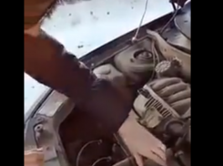 Автоледи своими «познаниями» надорвала животы многим таганрожцам