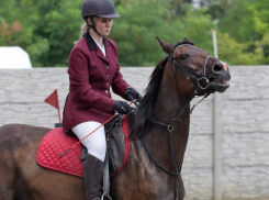 В Таганроге прошел кубок мэра по конкуру 