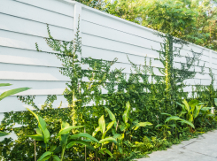 Таганрогских дачников могут оштрафовать за высокие заборы